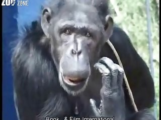 German- Amateur monkey porn